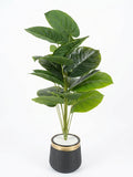 Artificial Monstera  Plant in Modern Black & Gold Planter - Small Size