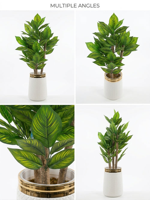 Artificial Calathea Plant in Decorative White & Gold Ceramic Planter